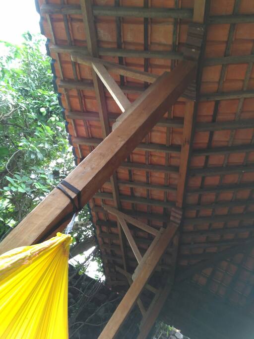 Hammock