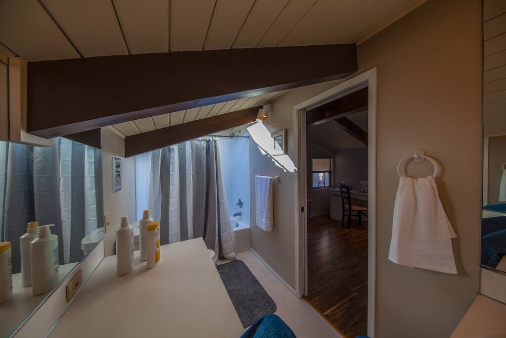 bathroom exclusive to this bedroom with skyline