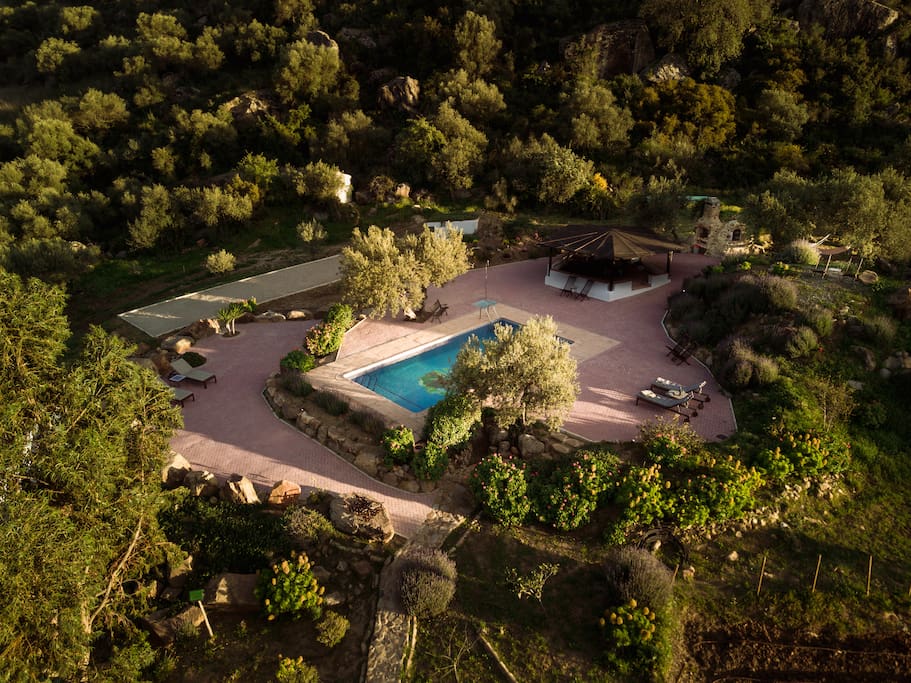 The pool from the sky