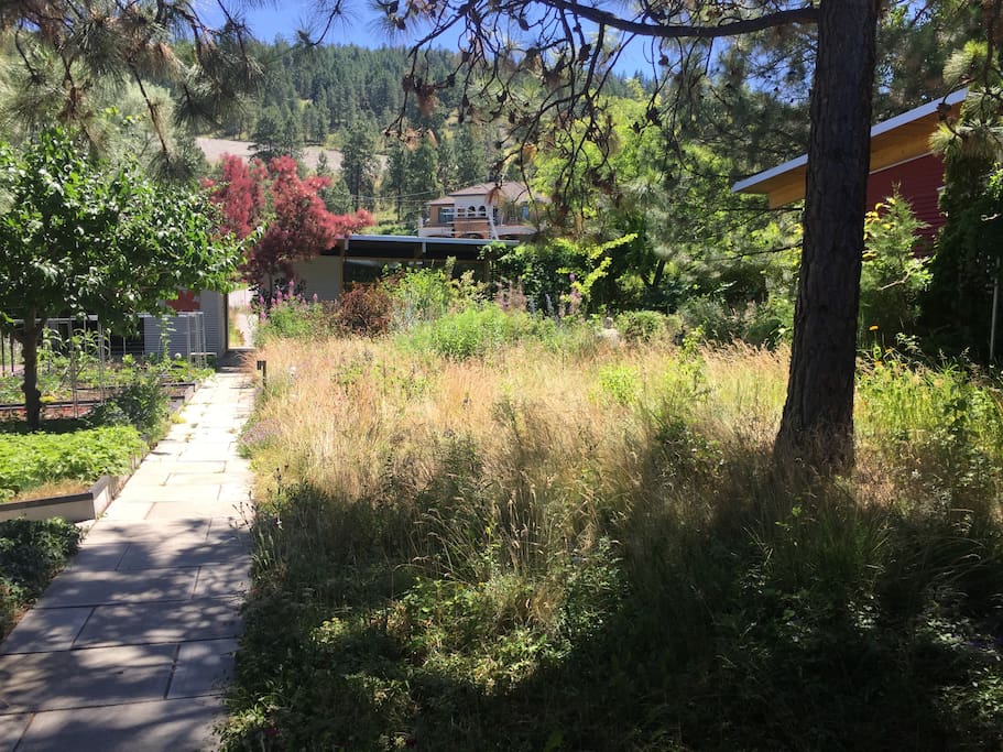 Centre courtyard with natural landscaping