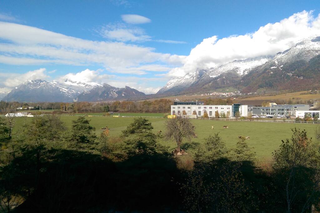View from the Guest Bedroom