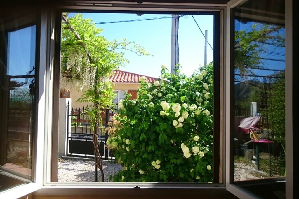 Le jardin