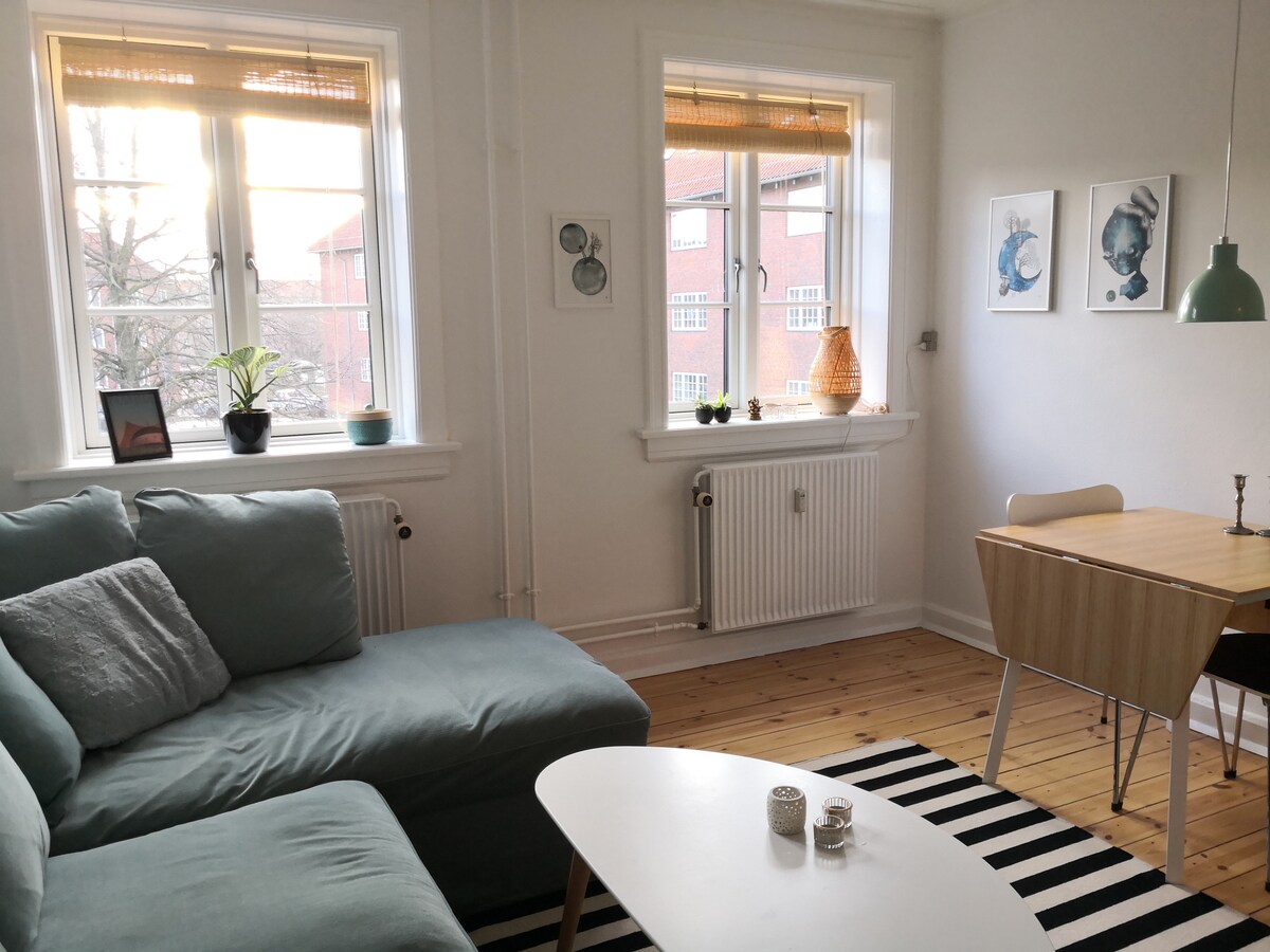 A living area is featured with a large, comfortable couch in a soft blue hue. Natural light streams through two windows adorned with wooden blinds. A simple dining table is accompanied by a chair, and wall art is displayed above the table, enhancing the space.