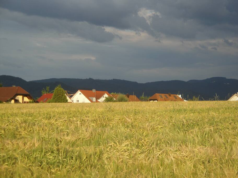 Bühl -Vimbuch mit Blick aufs Vorgebirge