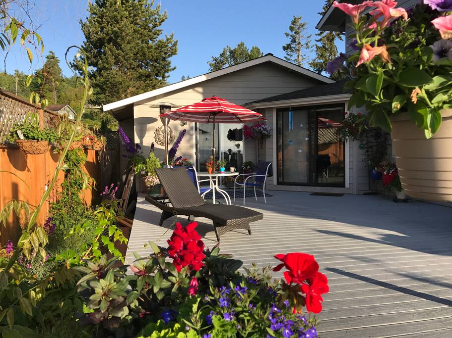 sunshine on the veranda...