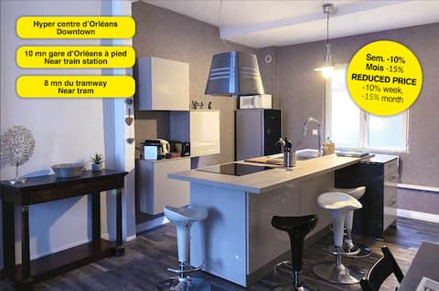 Appartement cosy, bords Loire, quartier historique