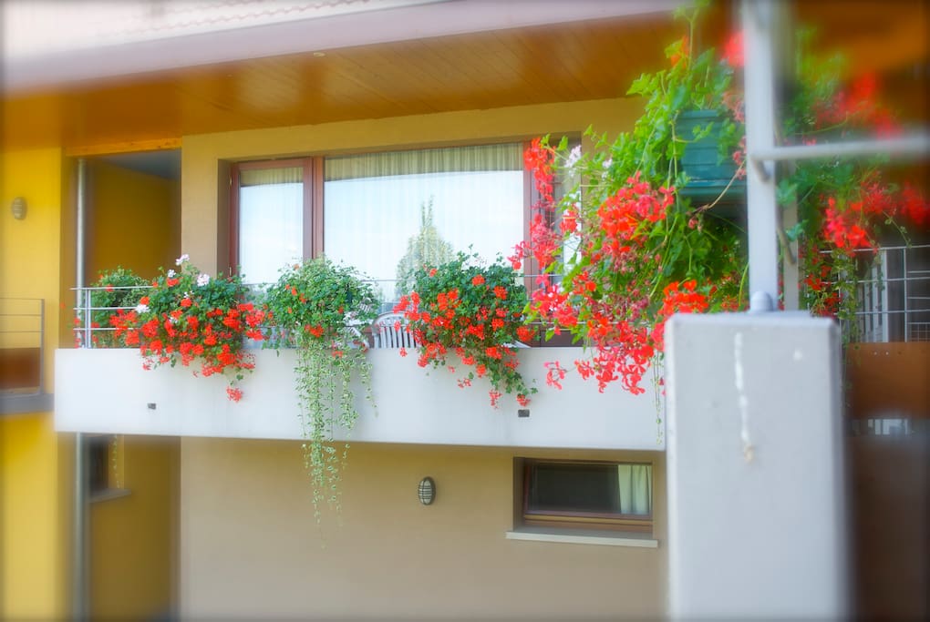 Balcon