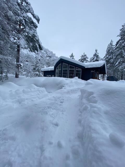 Mountain cabin with sauna.
(All service fees incl)
