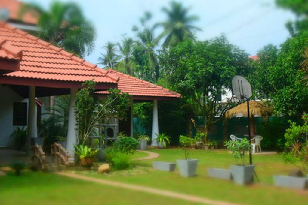 Front View