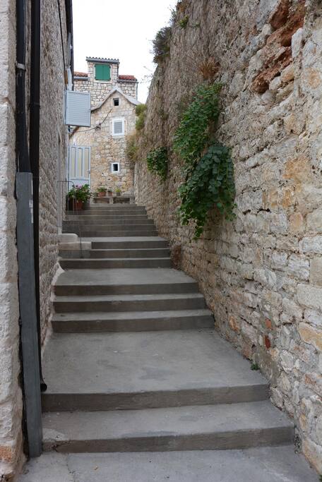 our beautiful street and our delicious caper plants :)