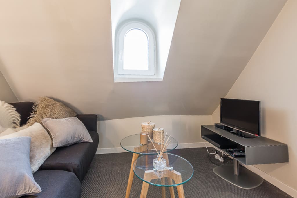 Living-room with comfortable sofa bed for two people
