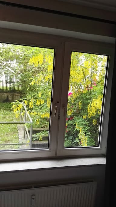 Ausblick Hinterhof