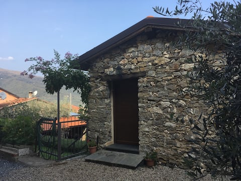 Villa dell 'Ulivo con jardín