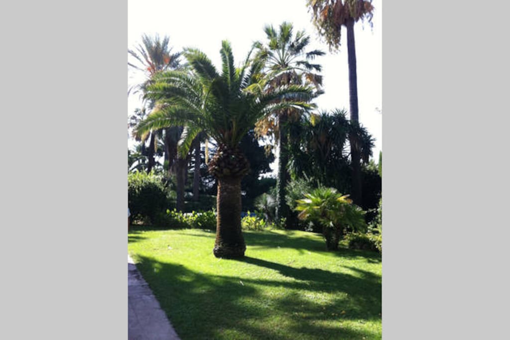 Parc