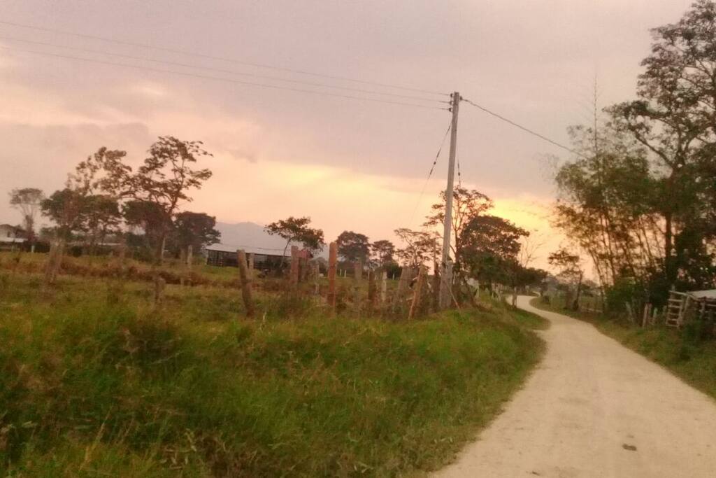 Llegando a casa