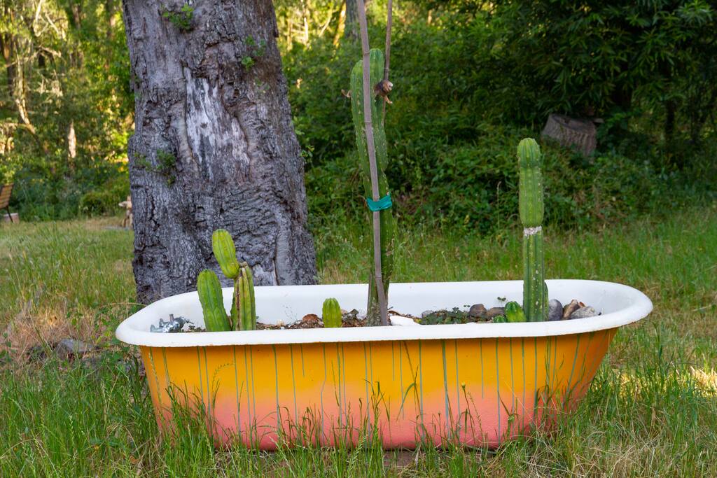 Creative gardens