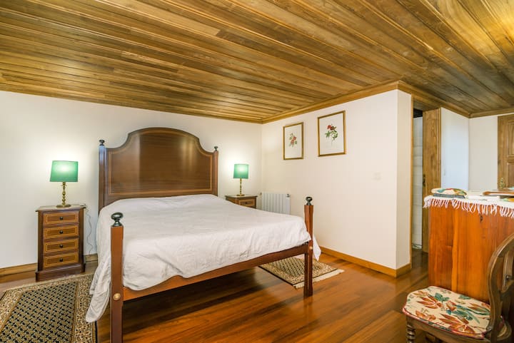 带双人床的房间