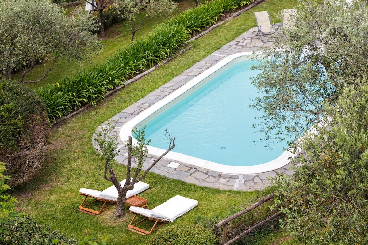 Villa Ulivo — view 2