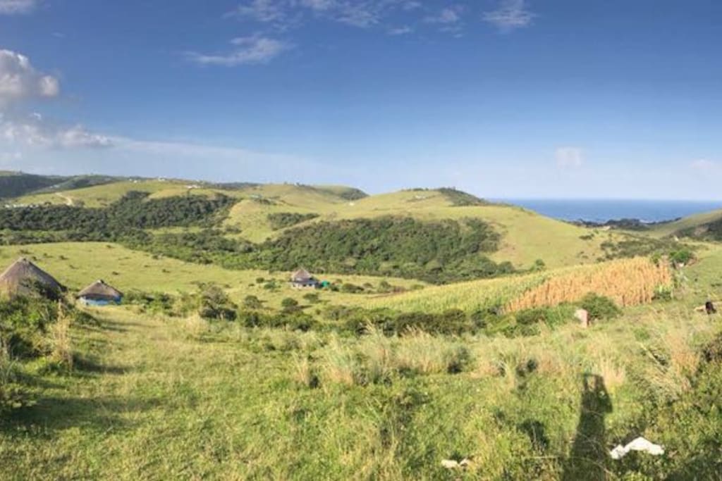 The view from behind