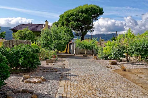 Retreat in the Countryside: Zen Vouga