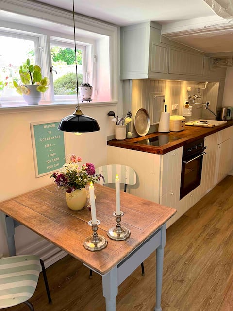 Top Airbnb: Charming basement apartment in villa in Amager Øst
