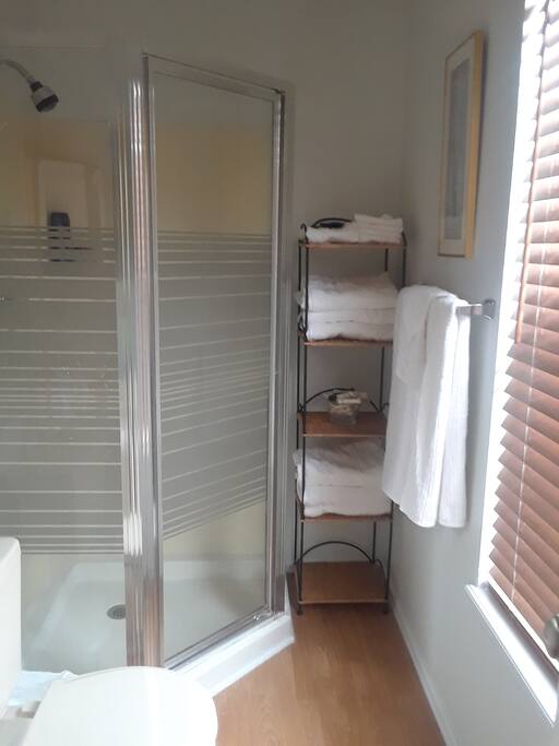 Shower with hotel quality white towels