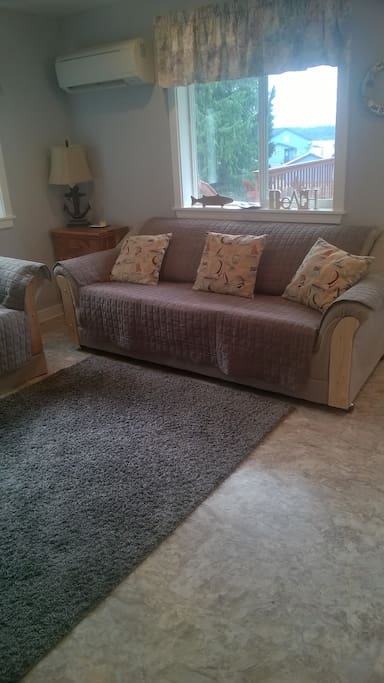 Hide a bed sofa in living room.