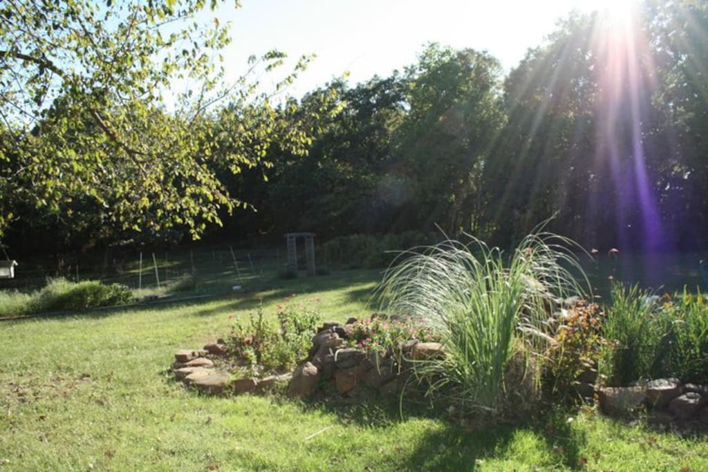 Our lovely back yard.