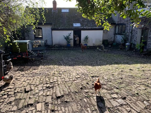 Unique oasis in the heart of the city Free Parking