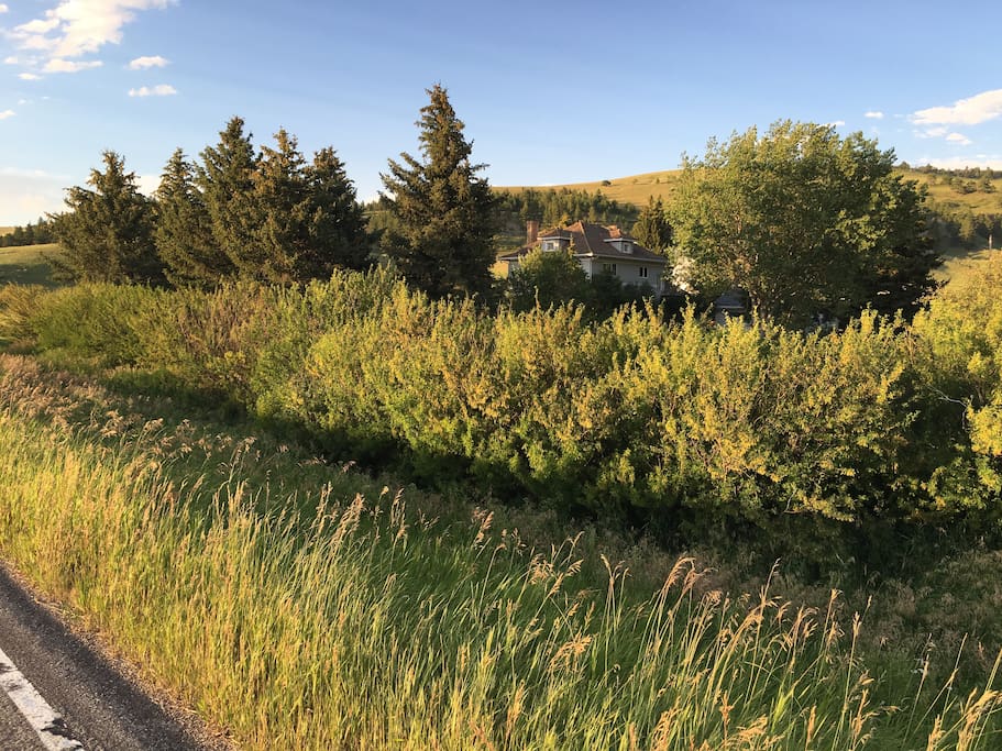 View of house tucked behind the private yard