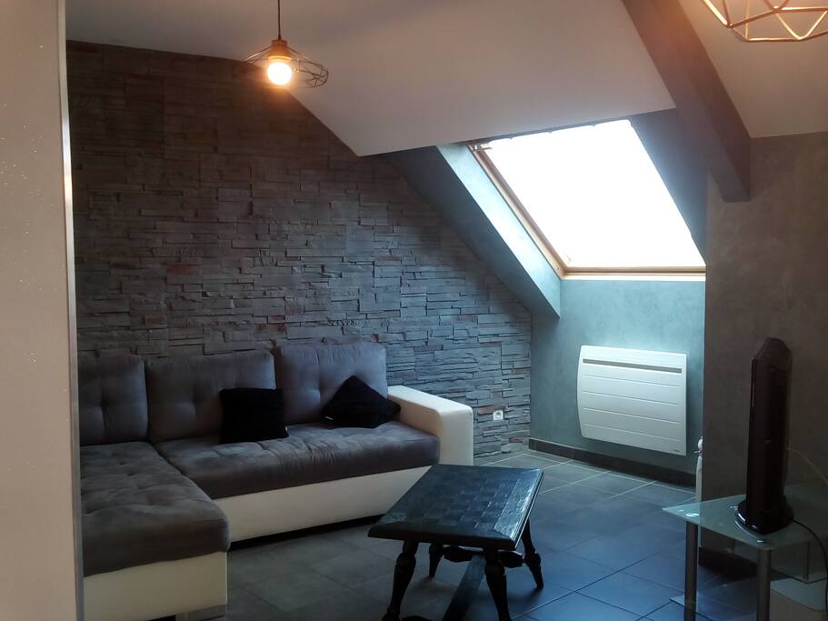 Salon ( Canapé convertible en lit double)