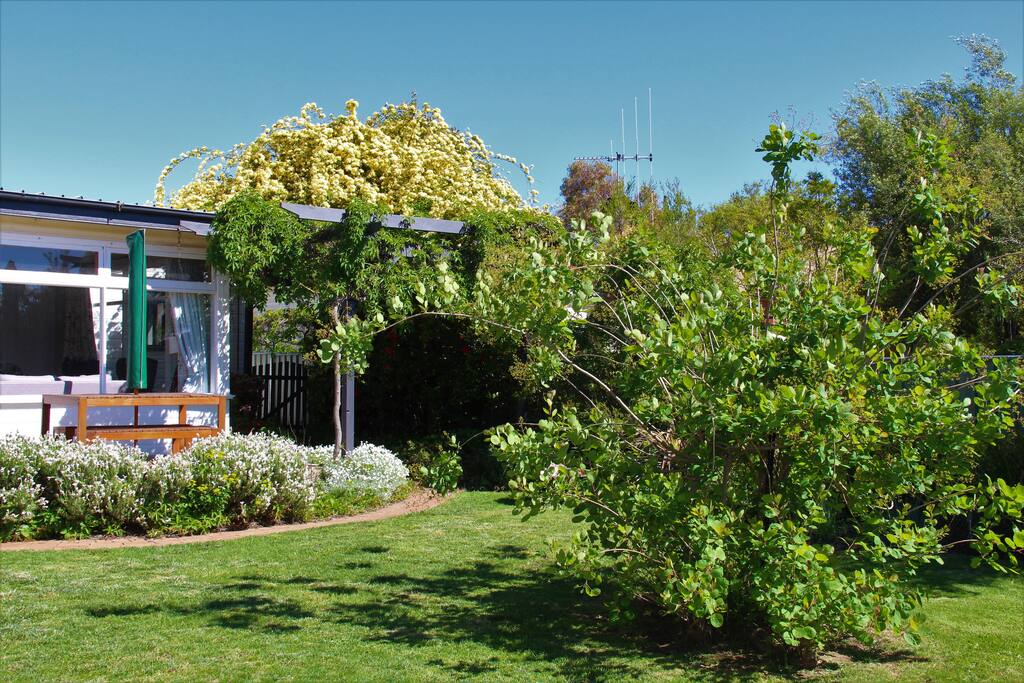 Spring in the garden