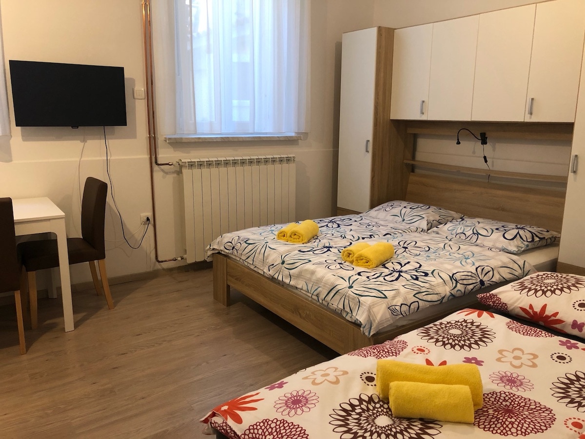 Lit double pour deux personnes et canapé-lit pour un voyageur