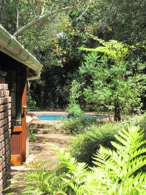 View of the back garden and swimming pool