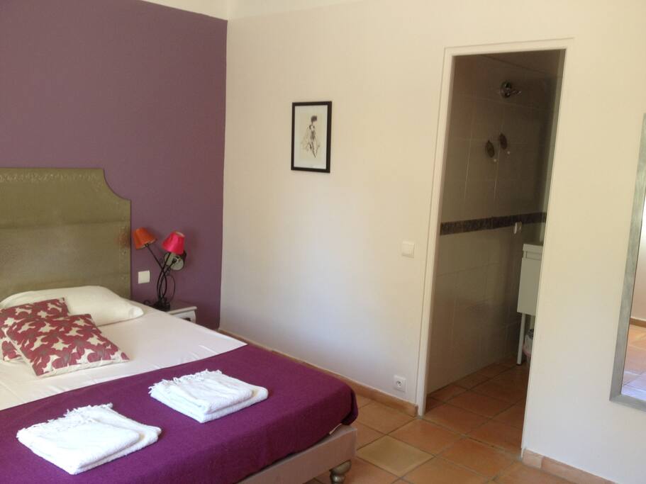 Belle chambre avec salle de bains et toilettes privées.