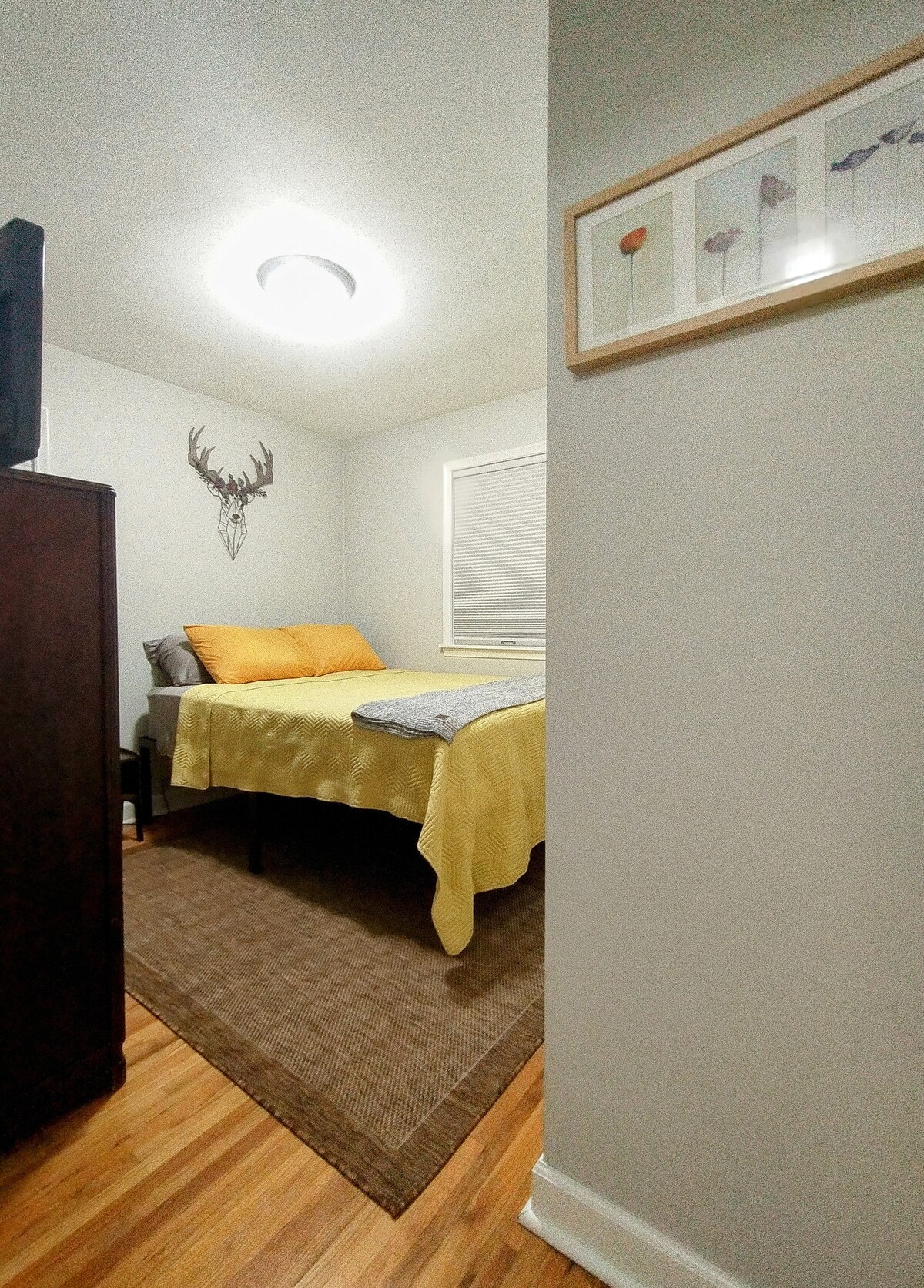 Cozy Home