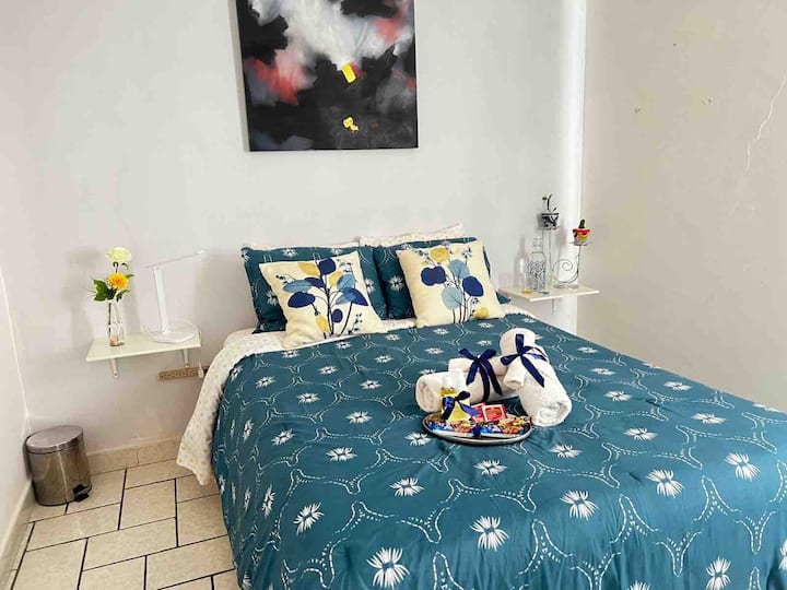 The Blue Room Apartments for Rent in Mexico City, Ciudad de México