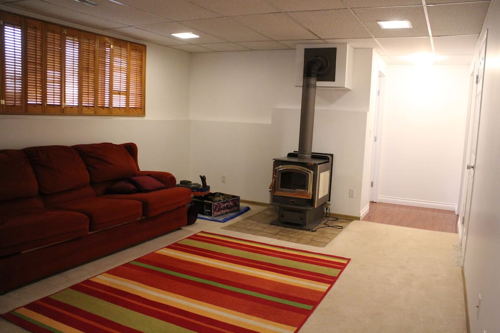 Common Area on lower (guest) level with fireplace and sofa