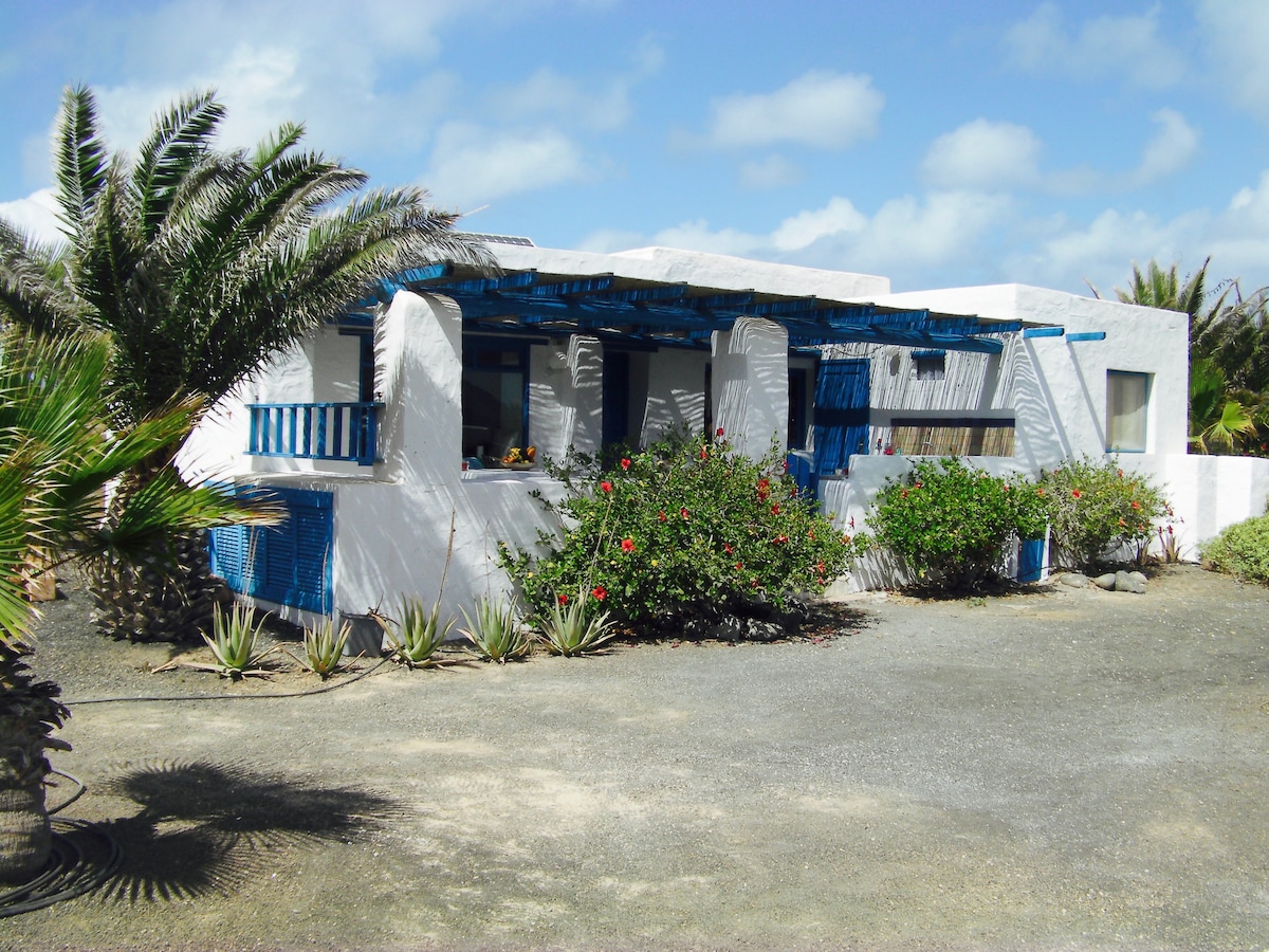 The exterior of the house is presented, highlighting its white walls complemented by blue accents. A canopy covers the front porch, providing shade. Lush greenery and palm trees surround the property, creating a serene atmosphere. The gravel driveway adds to the natural outdoor setting.