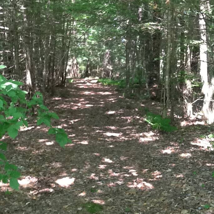 Under five minutes from car to camp down this beckoning path....