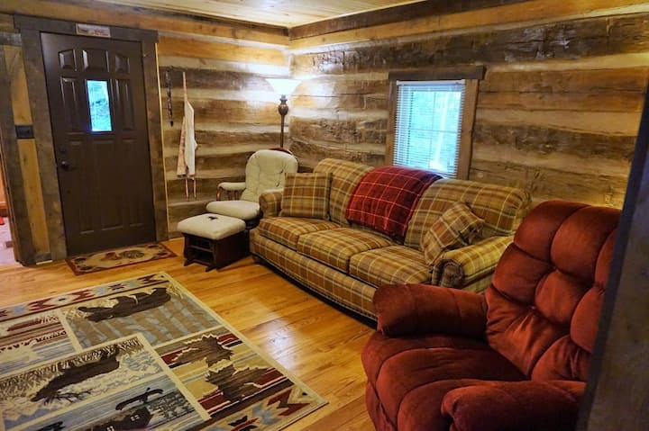 lower level -  sofa (full size) bed