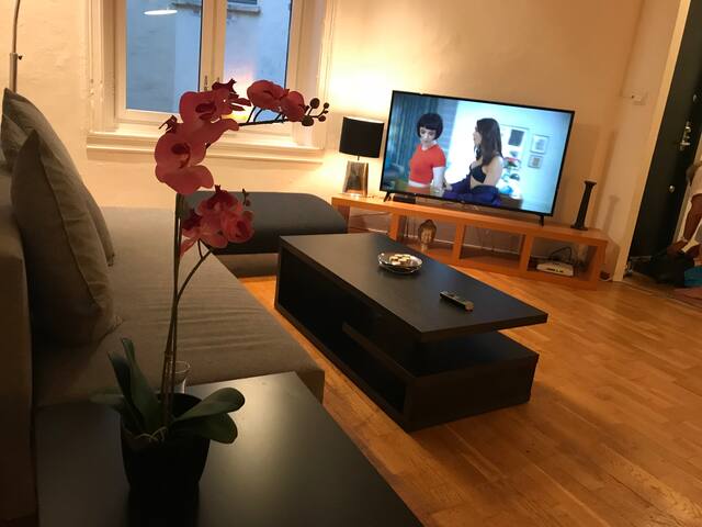APT3ROOMS IN THE HEART OF OSLO! SKP21B 70mt gallery image 5