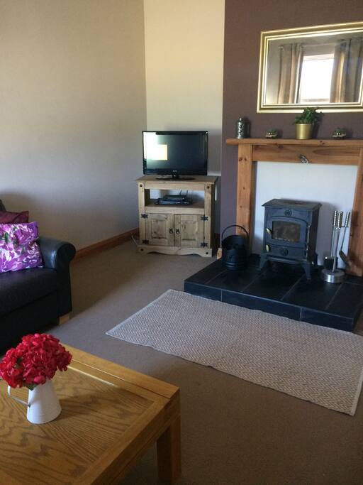 Living room with a fuel burning stove and TV
