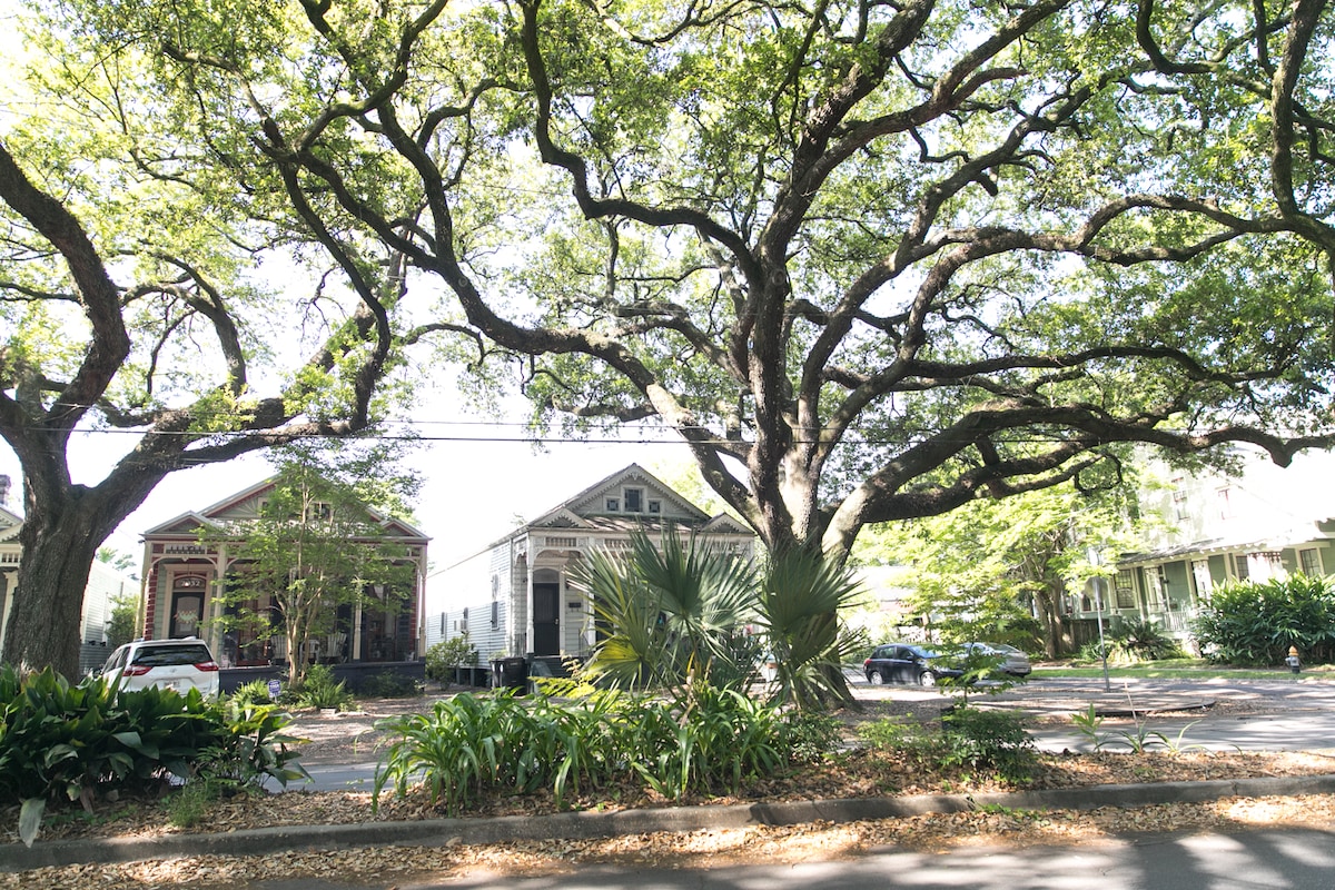 Two historic homes are framed by large, sprawling oak trees with lush green foliage. Vibrant shrubbery and plants line the sidewalk, creating a natural border along the street. Sunlight filters through the branches, casting dappled shadows on the ground.