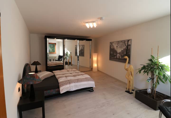 卧室配备大型照明衣柜和舒适的双人床，宽160米