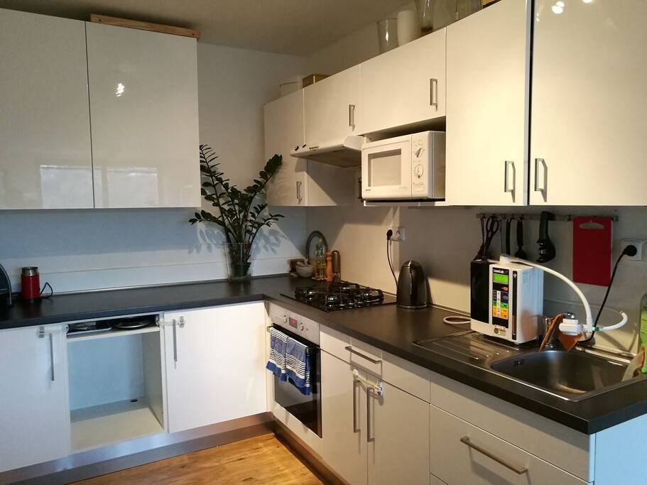 kitchen with kettle,microwave,mixer,juicer,nespresso coffee machine, kangen water cleaner