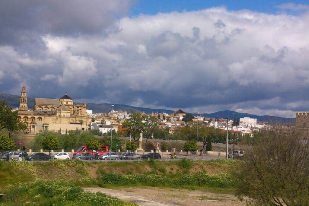 vistas desde la habitacion