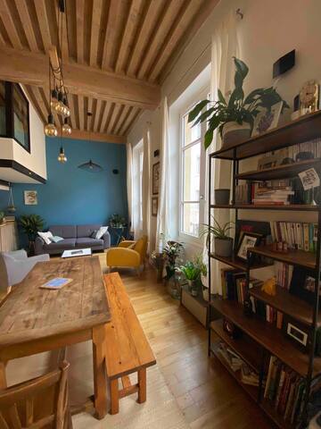 Lyon 4ème, cœur croix-rousse – superbe canut gallery image 4