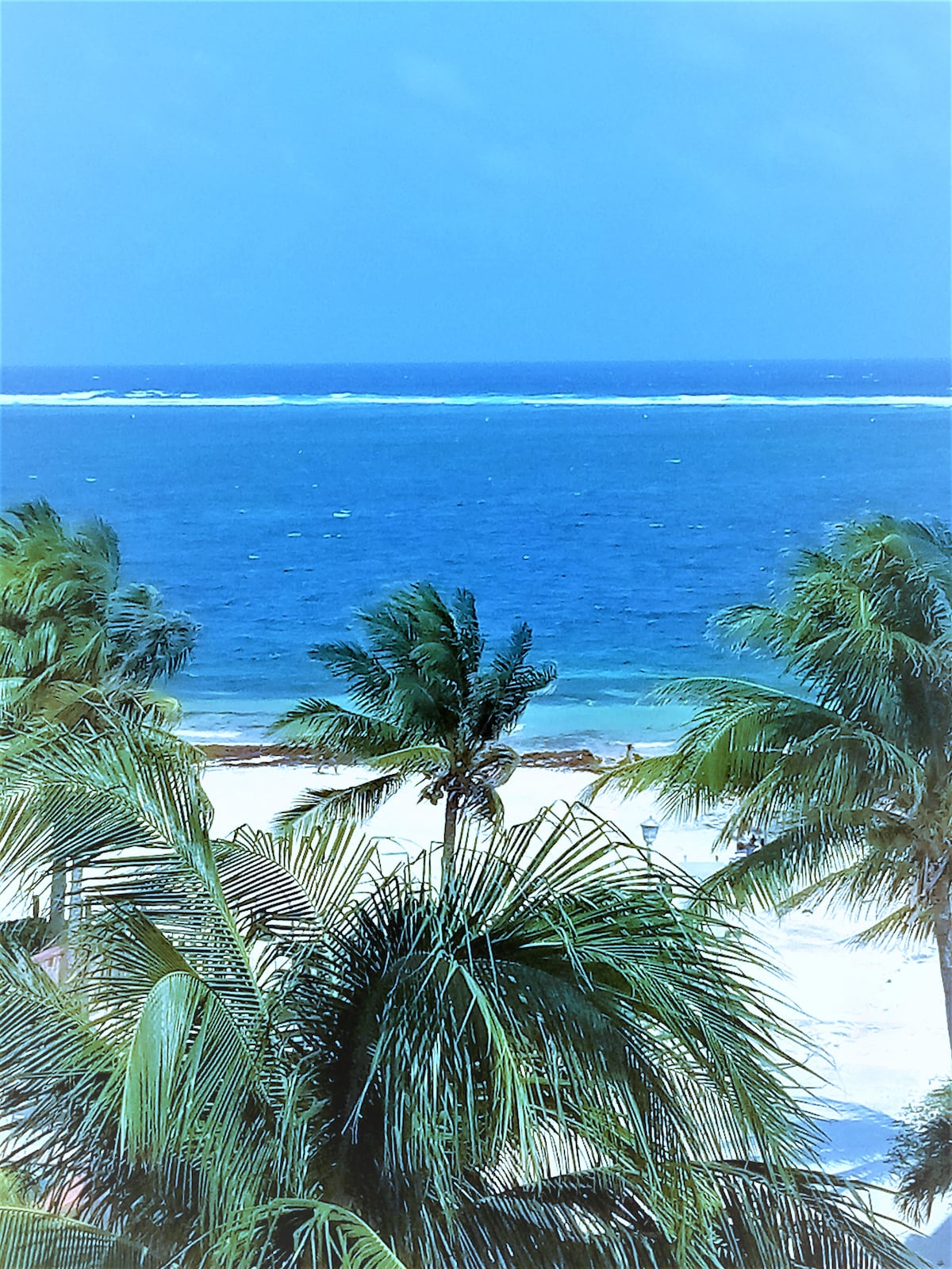 A clear view of turquoise waters stretches toward the horizon, framed by lush green palm trees. Soft white sands are visible, inviting relaxation by the beach. The sky presents a bright blue backdrop, enhancing the coastal atmosphere.
