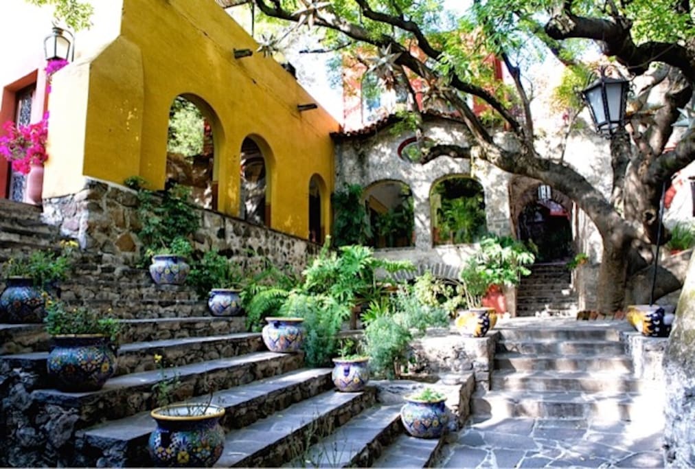 Entrance / Zapote tree terrace